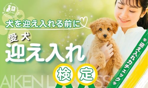 講座のサムネイル