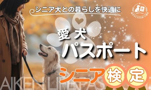 講座のサムネイル