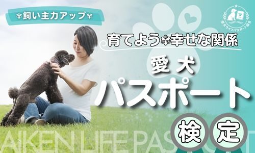 講座のサムネイル